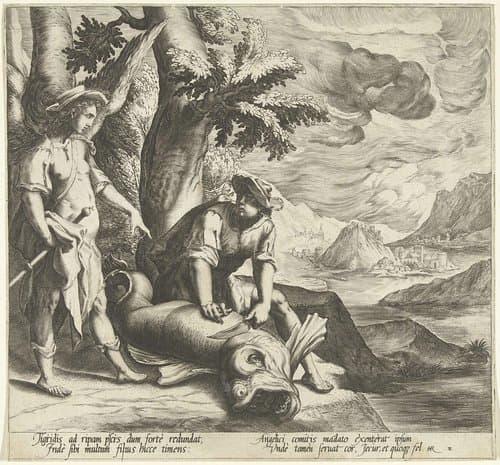 Tobias vangt de grote vis by Zacharias Dolendo