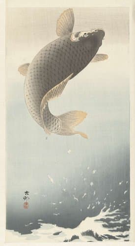 Karper by Ohara Koson