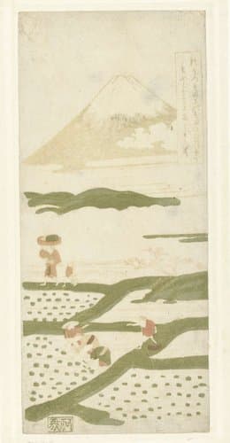 Rijstplanters by Suzuki Harunobu
