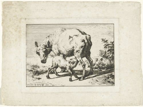 Schaap of ooi met twee lammeren by Charles Meryon