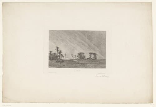 Landschap met palmbomen