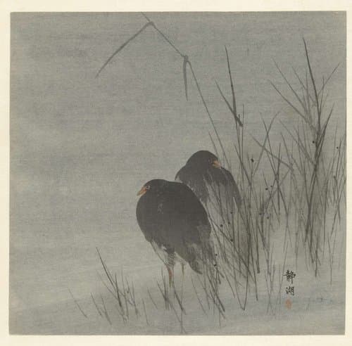 Twee meerkoeten tussen riet by Okuhara Seiko