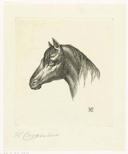 Portrait of Hermanus Carbentus