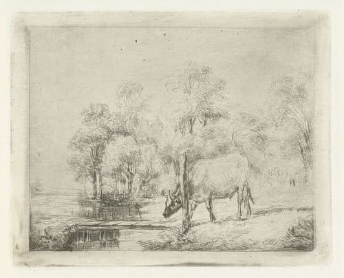 Landschap met een koe naast een sloot