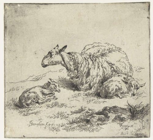 Schapen by Nicolaes Pietersz Berchem