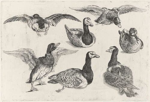 Jacht, jachthonden en wild by Wenceslaus Hollar