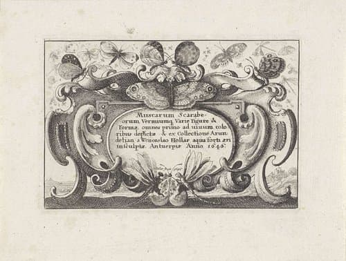 Titelprent in cartouche voor een serie met verschillende insecten by Wenceslaus Hollar