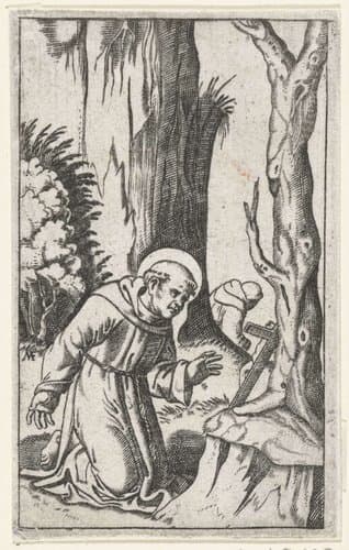 Heilige Franciscus van Assisi knielend voor crucifix by anonymous