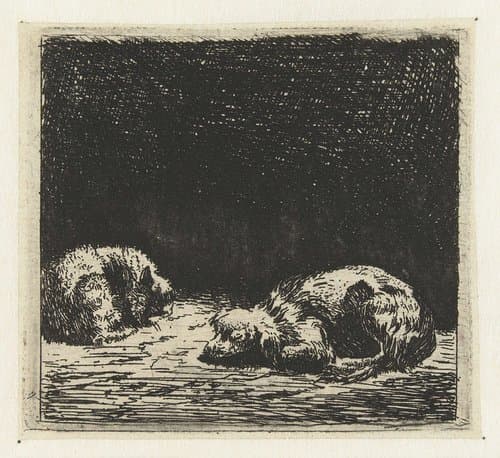 Slapende hond en kat by Karel du Jardin