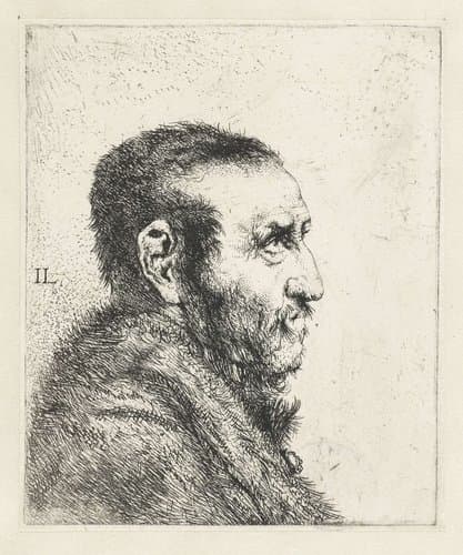 Borstbeeld van een man met een korte baard by Jan Lievens