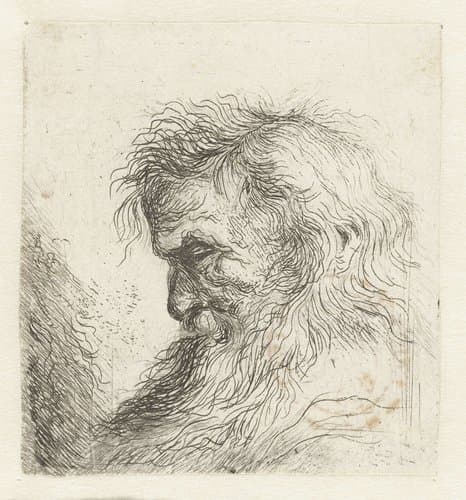 Hoofd van een oude man met baard by Jan Lievens