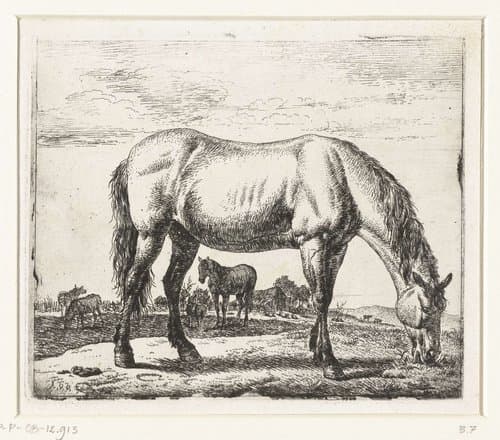 Grazend paard by Adriaen van de Velde