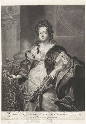 Sophia Carolina Electrix Brandenburgica by Jacob Gole