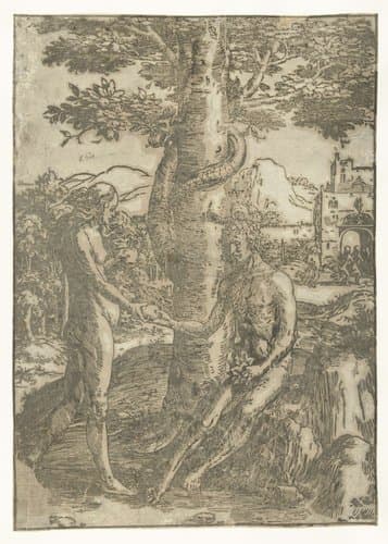 Grote serie Vrouwenlisten by Lucas van Leyden