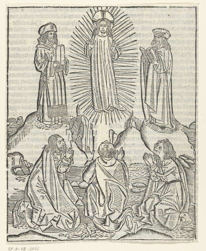 De transfiguratie van Christus by Master of Delft
