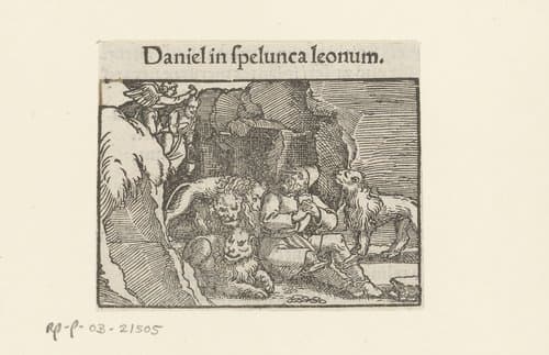 Daniel in spelunca leonum by anonymous