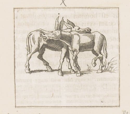 Illustraties uit de Lof der Zotheid by Caspar Merian