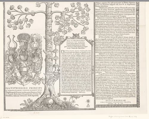 Stamboom van Christus by Tillmann Stella