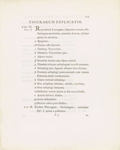 Tekstblad uit: Janus Bleuland, Observationes Anatomico-Medicae de Sana et Morbosa Oesophagi Structura, 1785 by Jan Bleuland