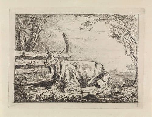 Liggende geit bij een hek by Gerard van Nijmegen