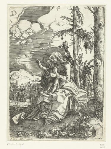 Maria met kind in een landschap by Albrecht Altdorfer
