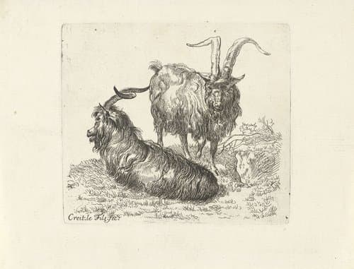 Twee rammen in een weide by Ernst Ludwig Creite