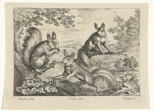 Verschillende dieren