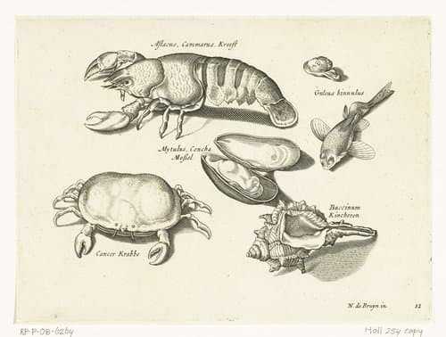 Libelivs varia Genera piscium complectens by anonymous