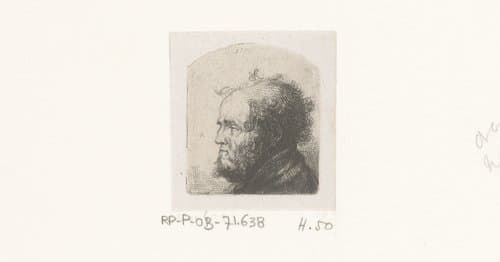 Kop van man met krullend haar en baard by Jean Pierre Norblin de la Gourdaine