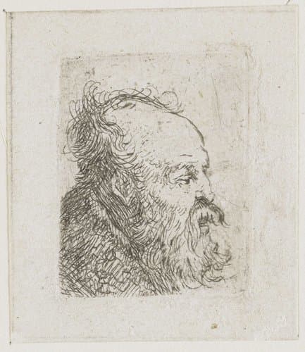 Sheet of studies of men's heads: old bearded man nearly in profile to right: mouth half open by Rembrandt van Rijn