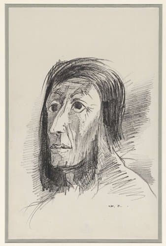 Door zwart haar omlijste kop met wijd opengespalkte ogen by Odilon Redon