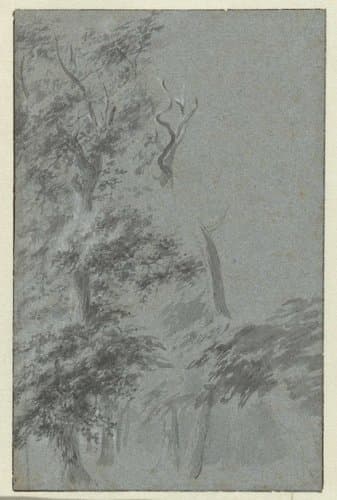 Bosgezicht by anonymous