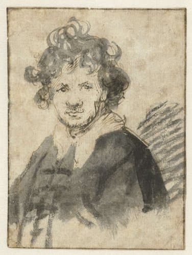 Zelfportret met warrig haar by Rembrandt van Rijn