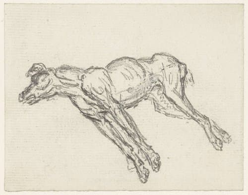 Dode hond by Georges Michel