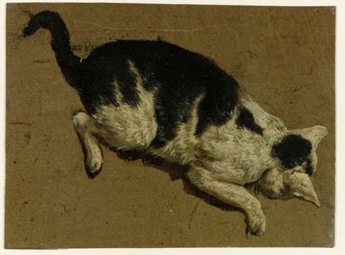 Kat vanaf een verhoging naar beneden kijkend by Adriaen van de Velde