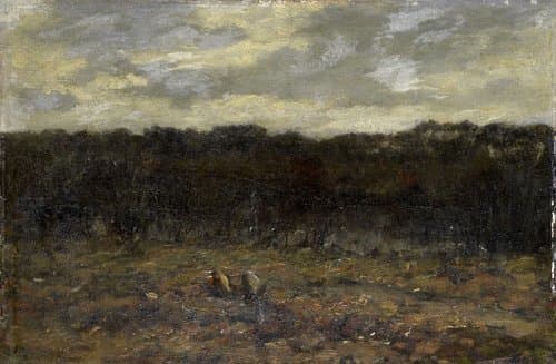 Vennetje op de heide