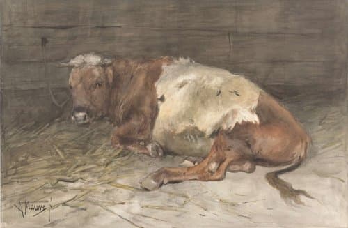 Liggende jonge stier by Anton Mauve