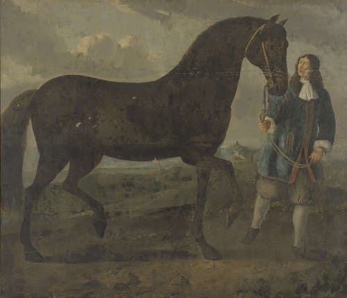 Zwart paard door een stalknecht geleid by anonymous