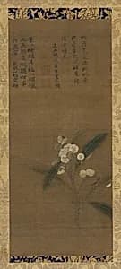 A Branch of loquats