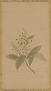 A branch of medlars by Kano Tan'yu 狩野探幽 (1602-1674)