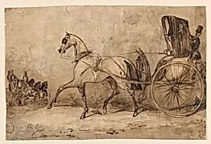 A Horse and Carriage