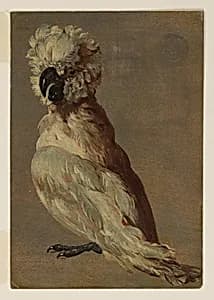 Portrait of Frans Snyders, Flemish, 1579–1657