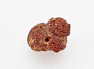 Animal Figure Bead by Unidentified