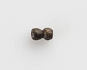 Bead, double by Unknown