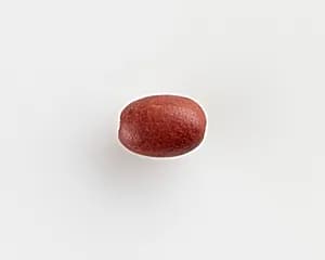Bead by Unknown