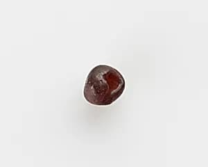 Bead by Unknown