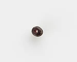 Bead by Unknown