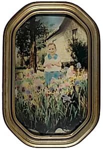 Boy in Flower Garden by Unidentified