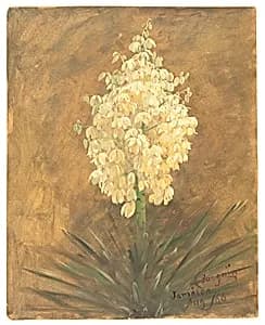 Bromelia Pinguin in Bloom, Jamaica by Frederic Edwin Church, American, 1826–1900