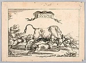Bull Hunt Scene